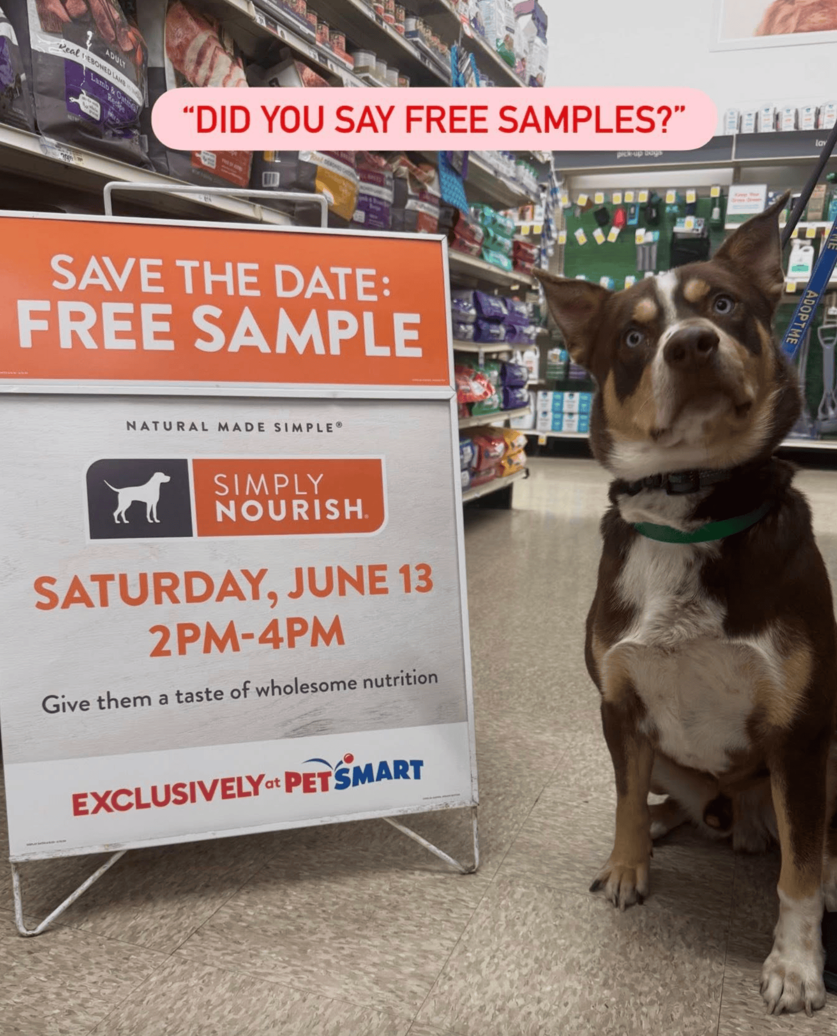 PetSmart FREE Samples