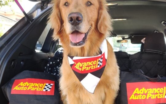 advance auto parts