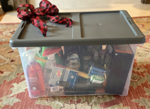 Best Christmas Gift for Young Families