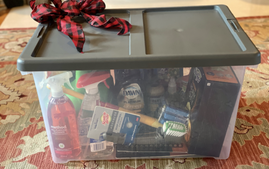 Best Christmas Gift for Young Families