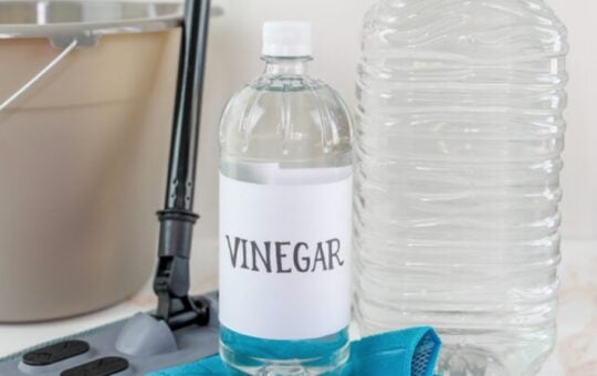 uses for vinegar