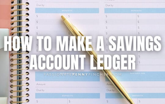 Savings Account Ledger PPP