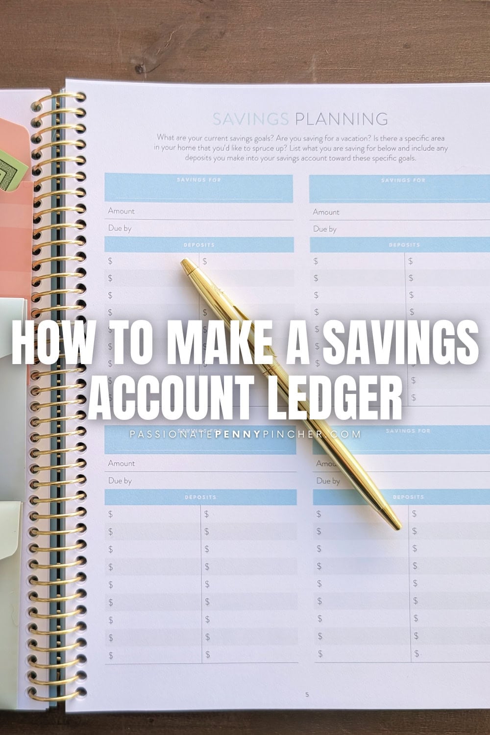 Savings Account Ledger PPP
