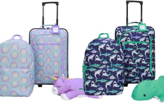 walmart luggage