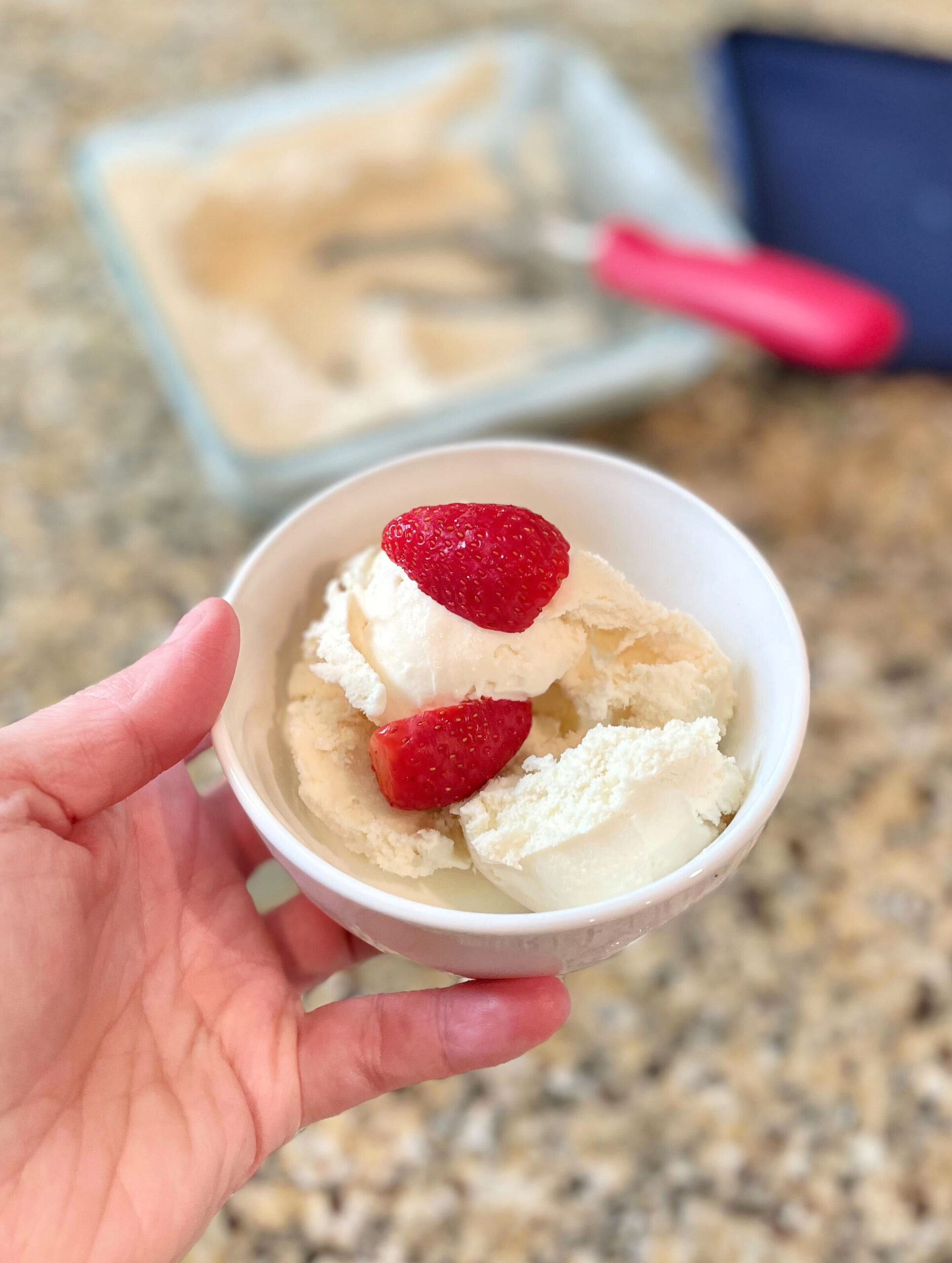 vanilla ice cream maker