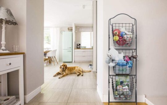 amazon basket