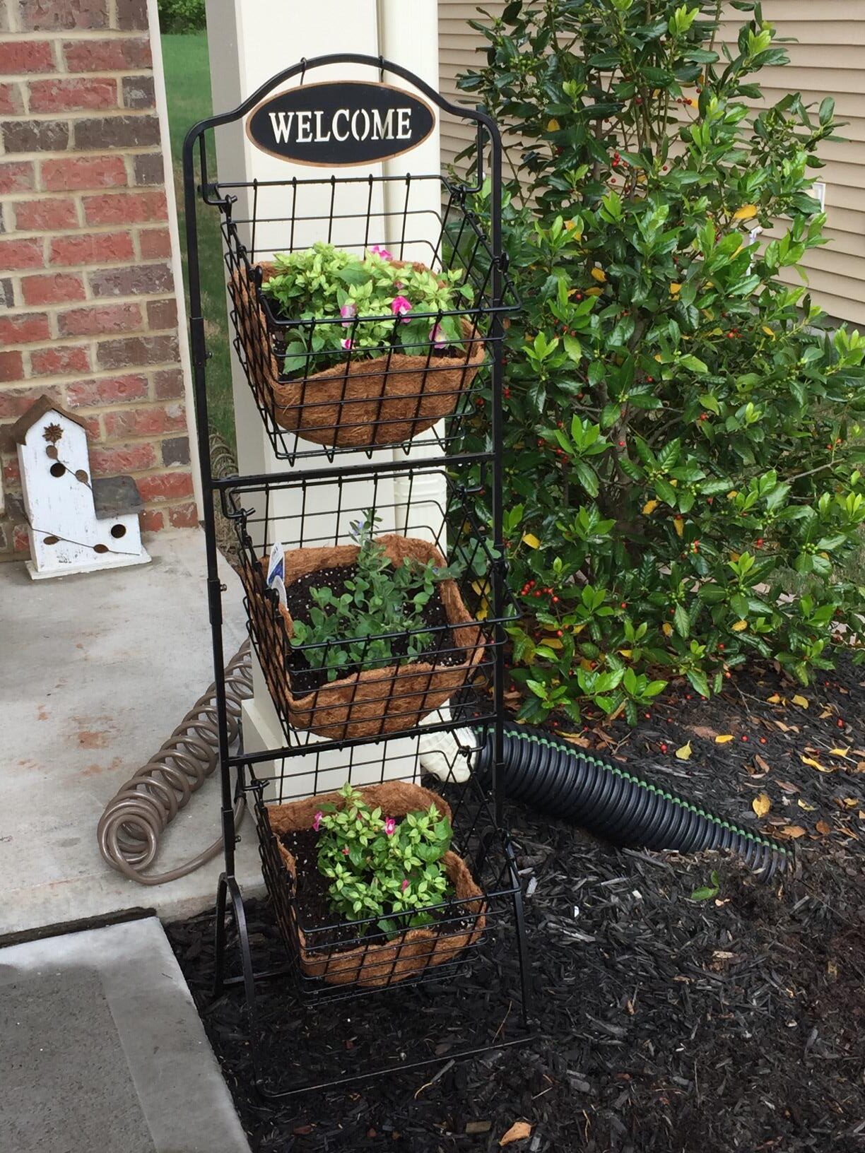 amazon basket