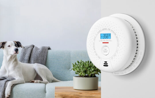 carbon monoxide