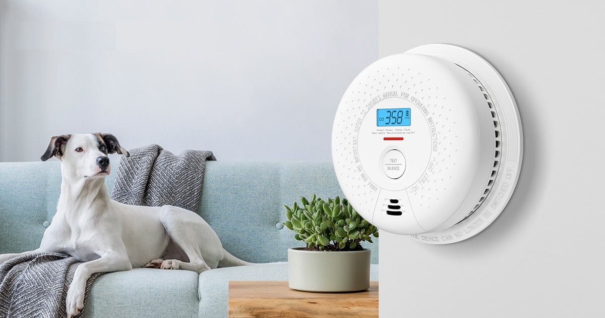 carbon monoxide