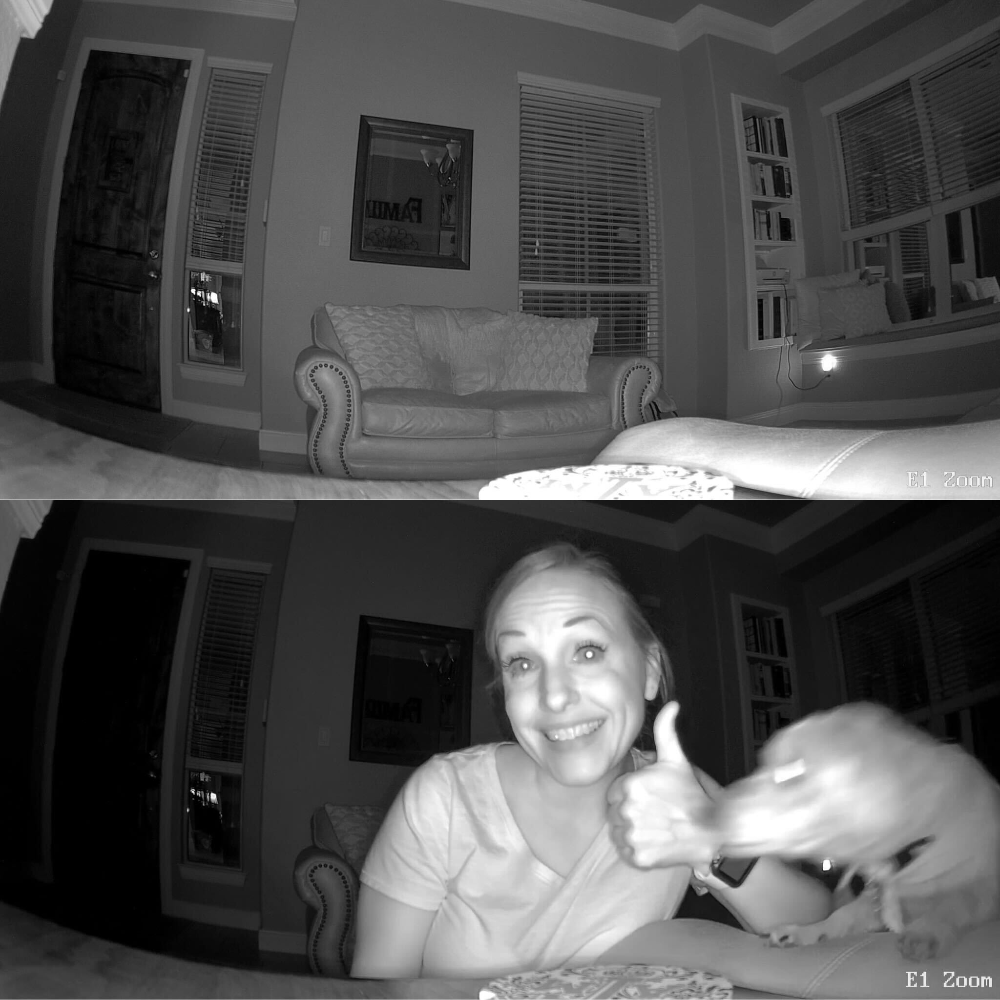 reolink cameras