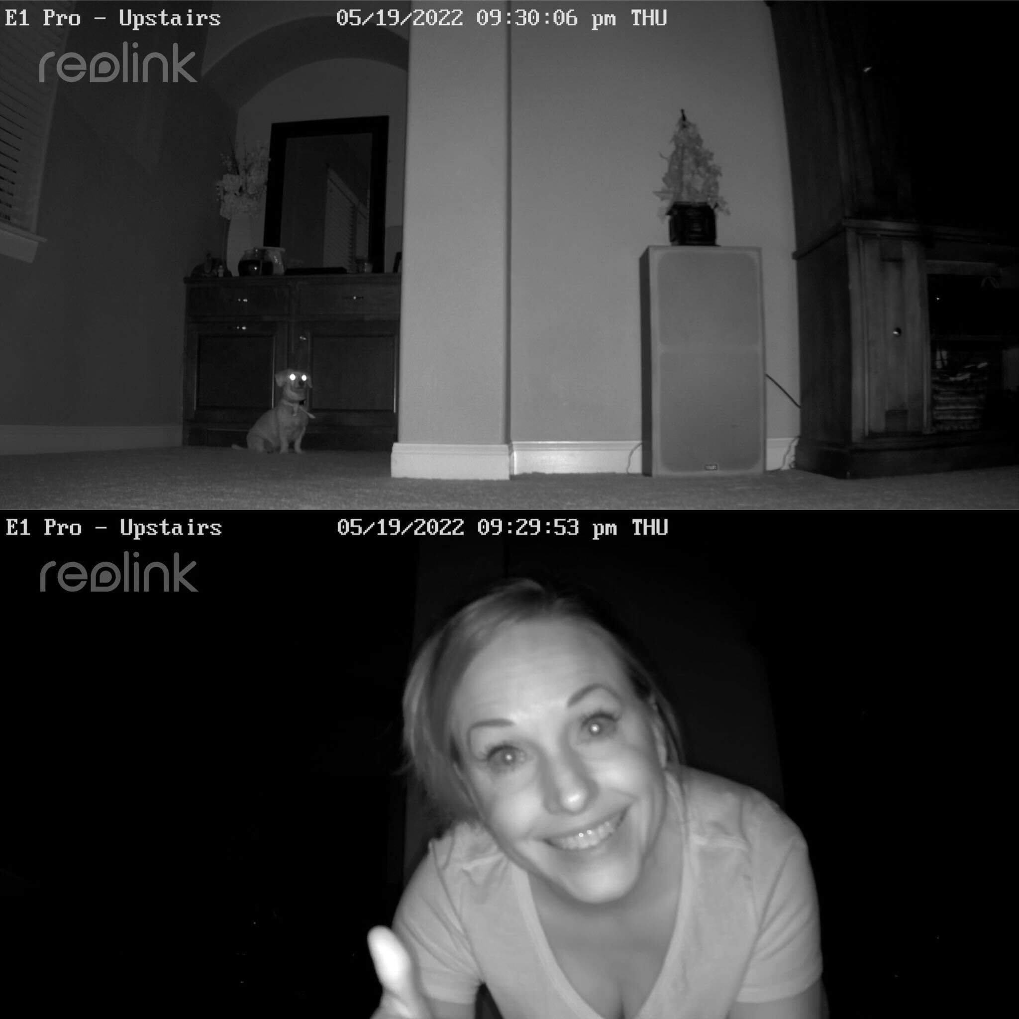 reolink cameras