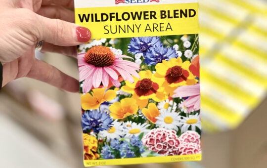 wildflowers