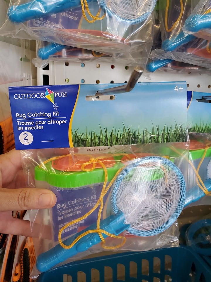 bug catching kit