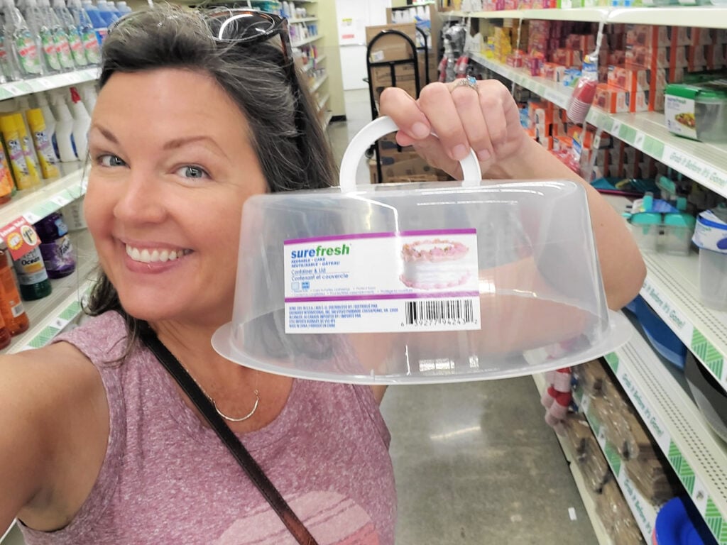 cake cover for camping