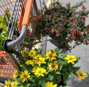 home depot