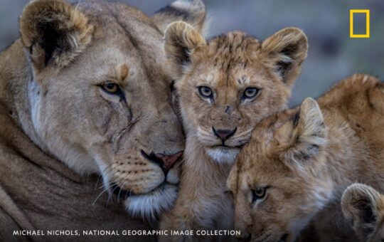 national geographic