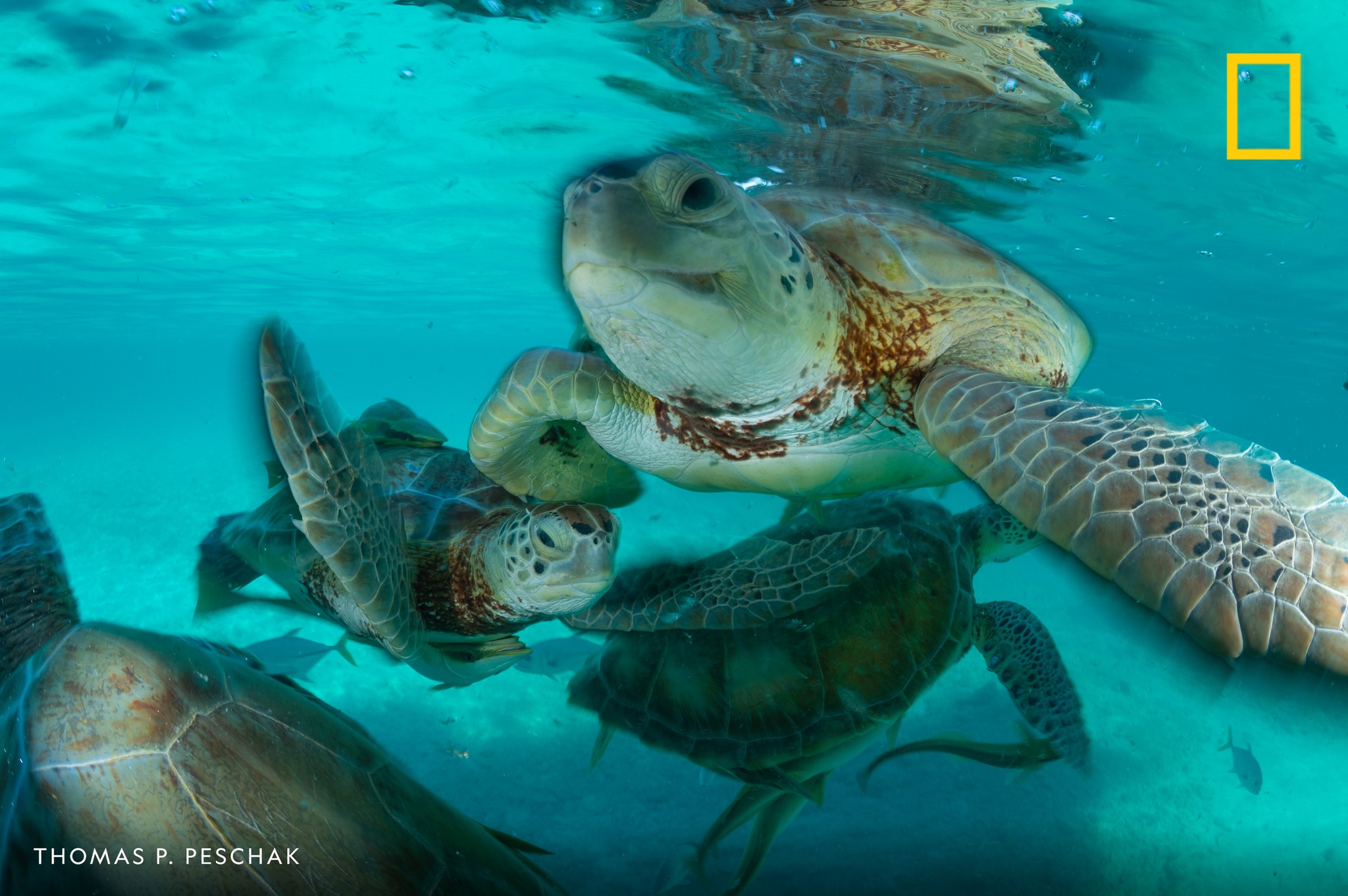 national geographic