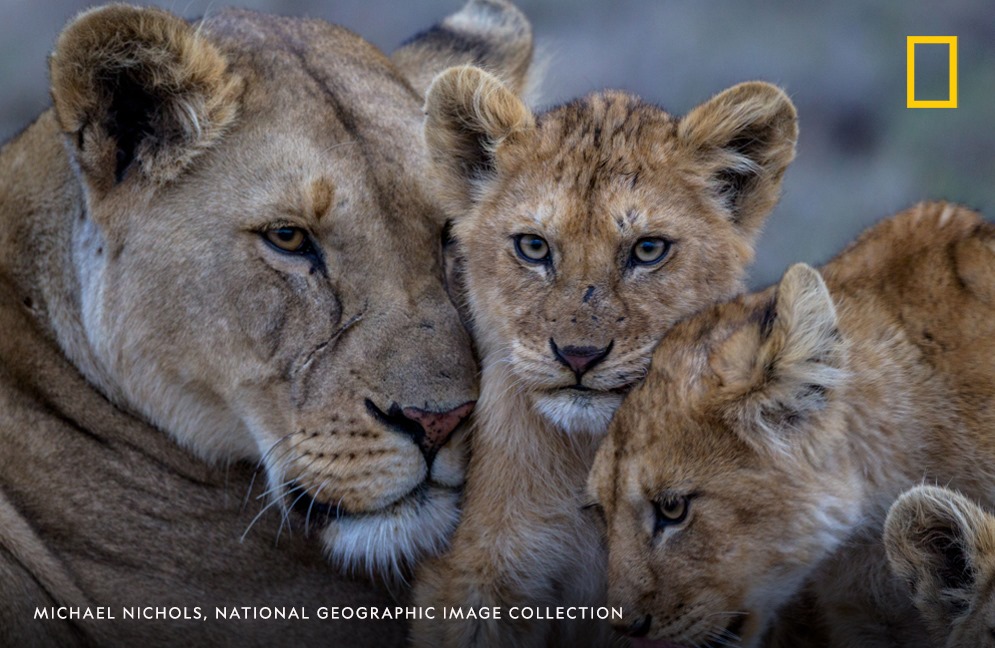 national geographic