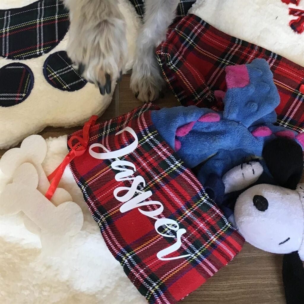 pet stocking 