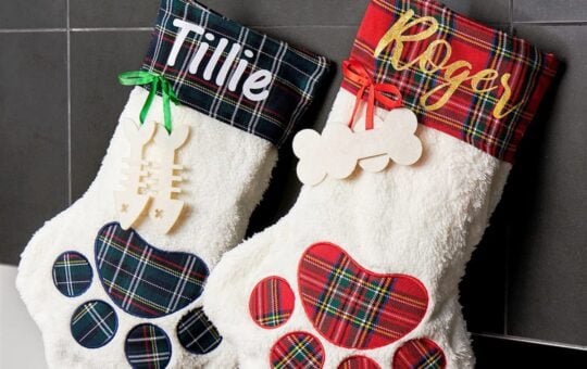 personalized pet stocking