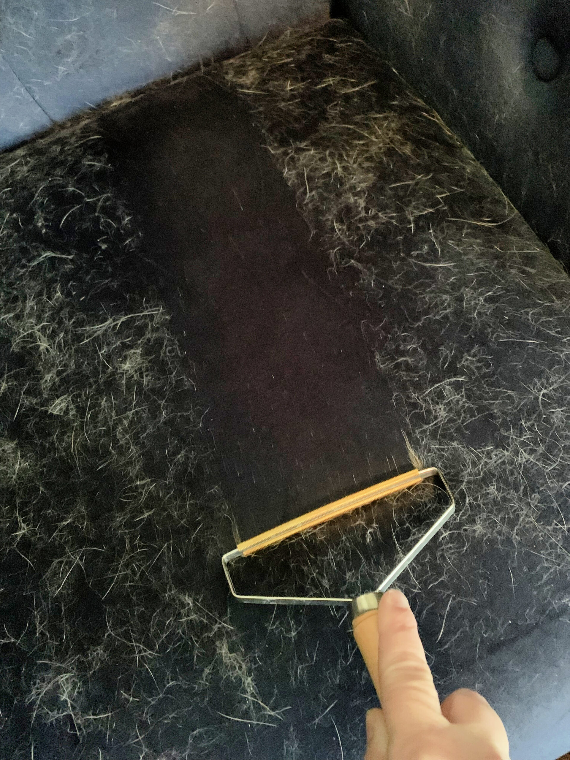 carpet scraper