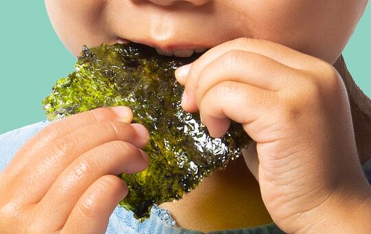 seaweed snack