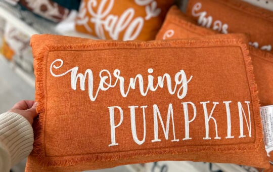michaels fall decor