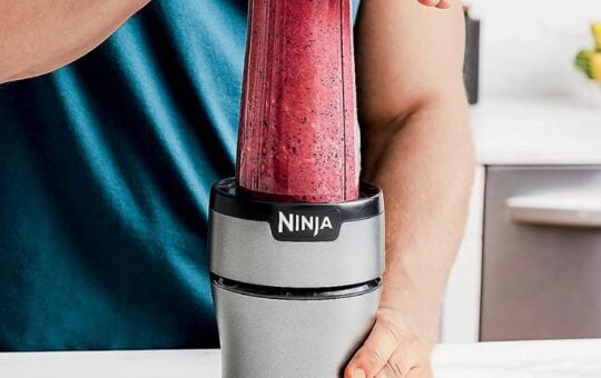ninja nutri blender pro