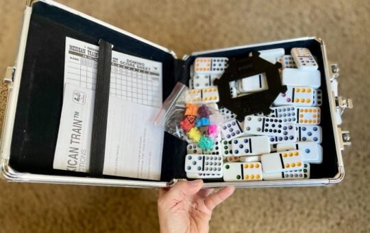 mexican train domino's
