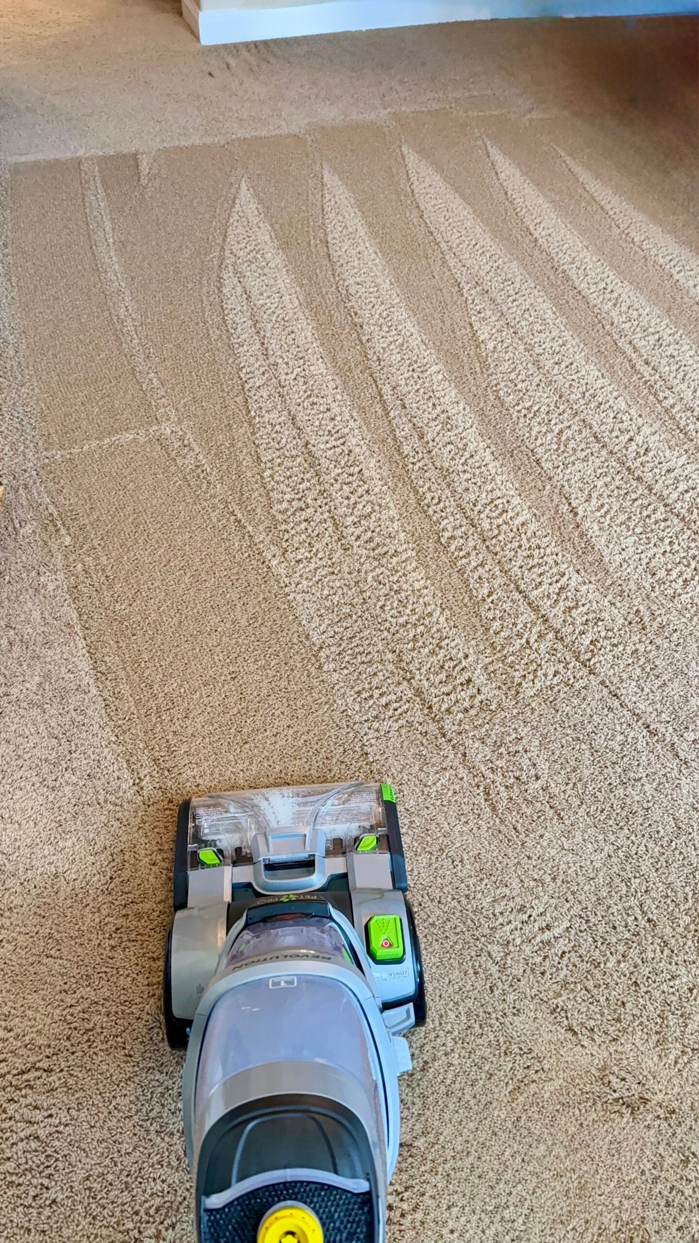 bissell carpet cleaner