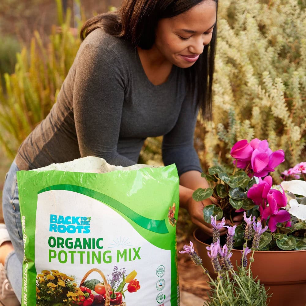target potting mix
