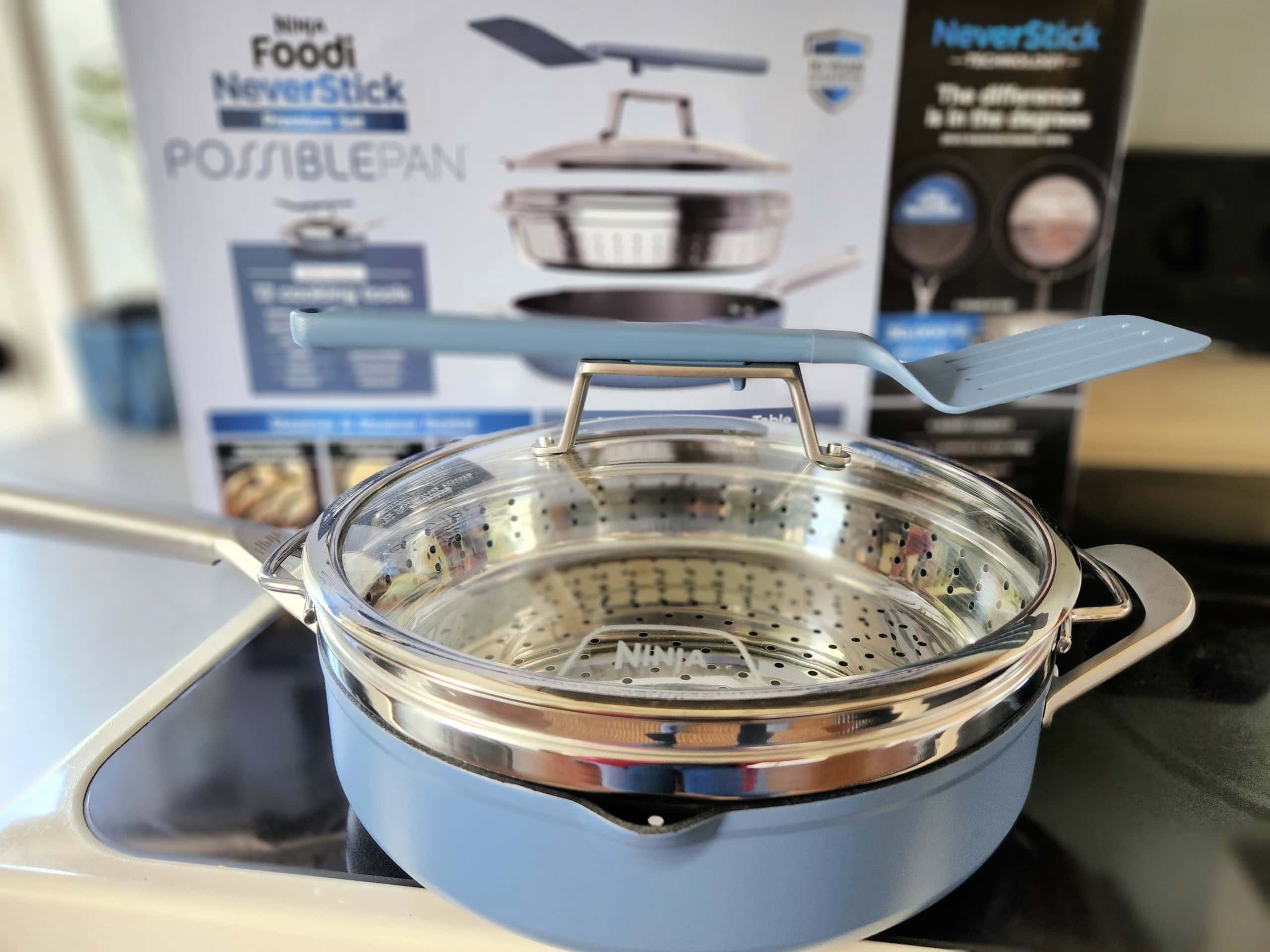 Ninja Possible Pan 