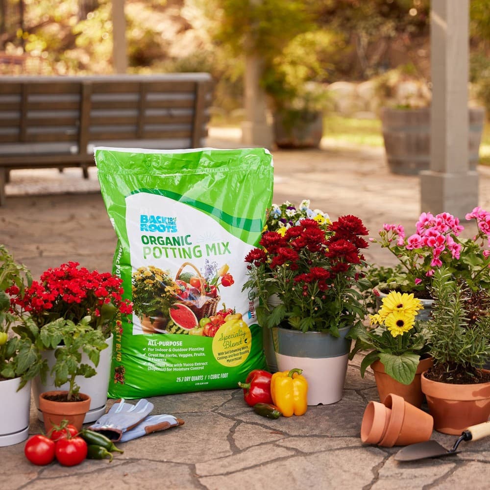 target potting mix