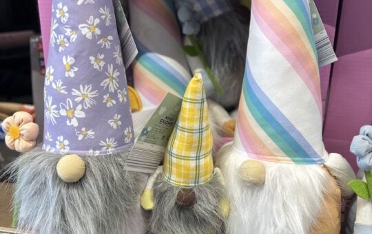 spring gnomes