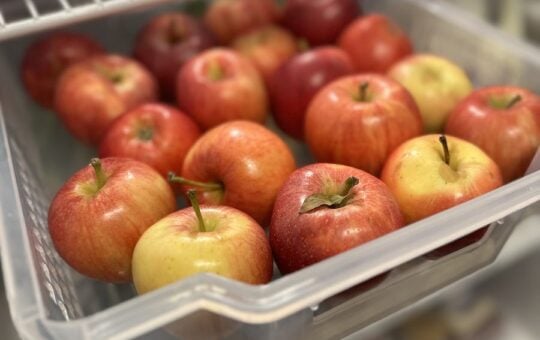 Apples in Adjustable Refrigerator Drawer
