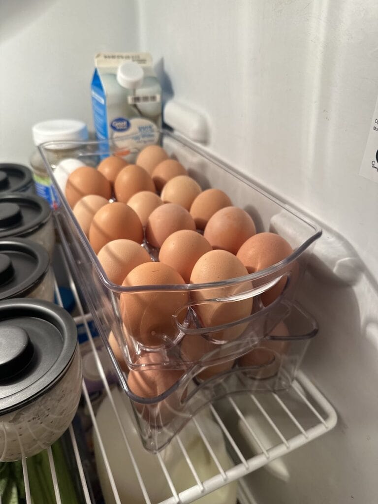 Egg Organization