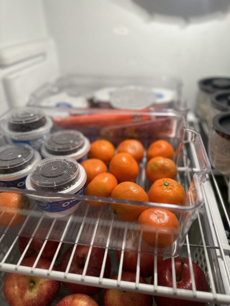 Clear Storage Bins for Refrigerator