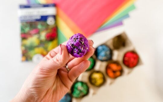 DIY Flower Bomb with Wildflower seeds