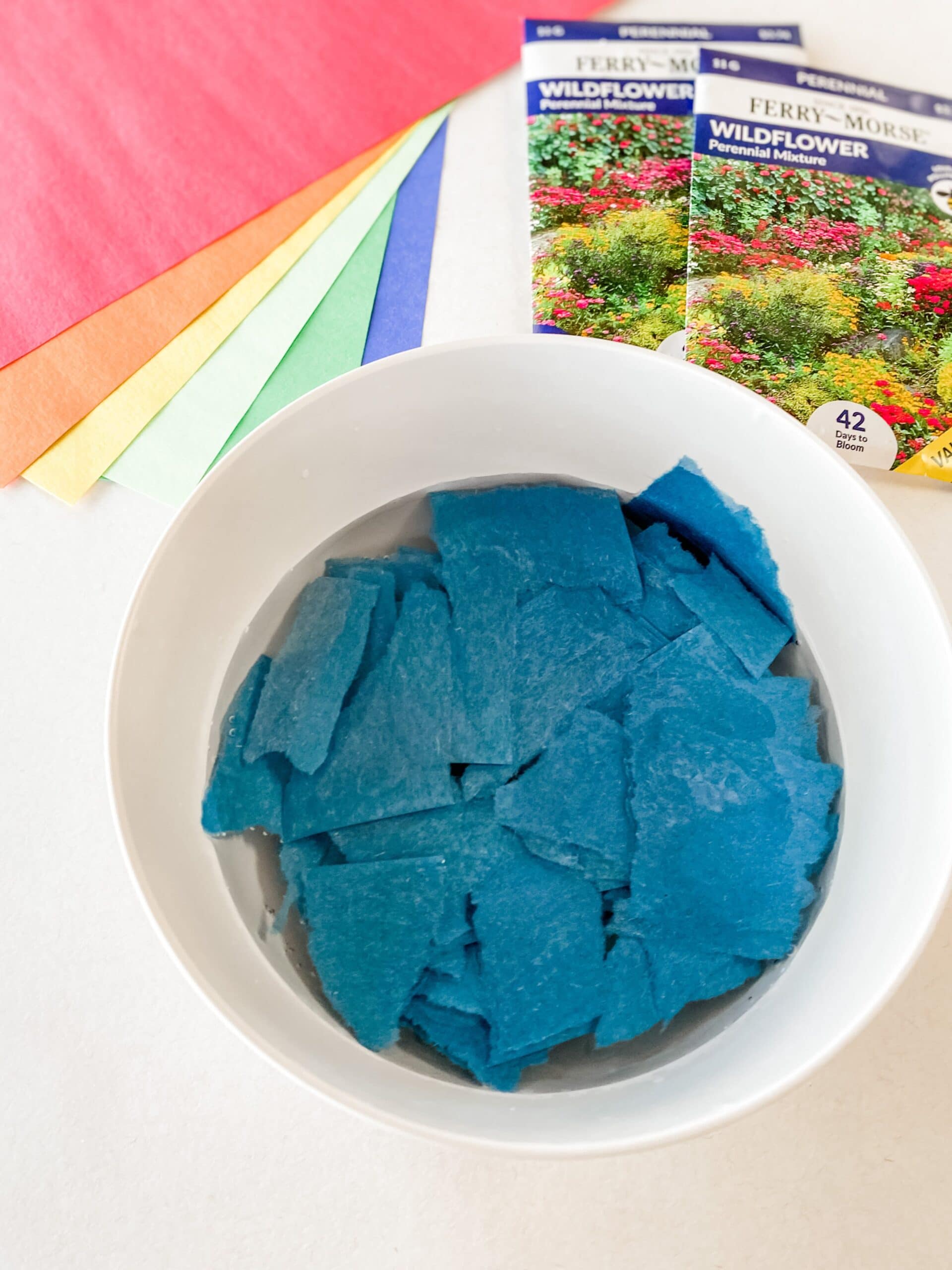 Using construction paper to make a diy flower bomb for wildflower seeds 