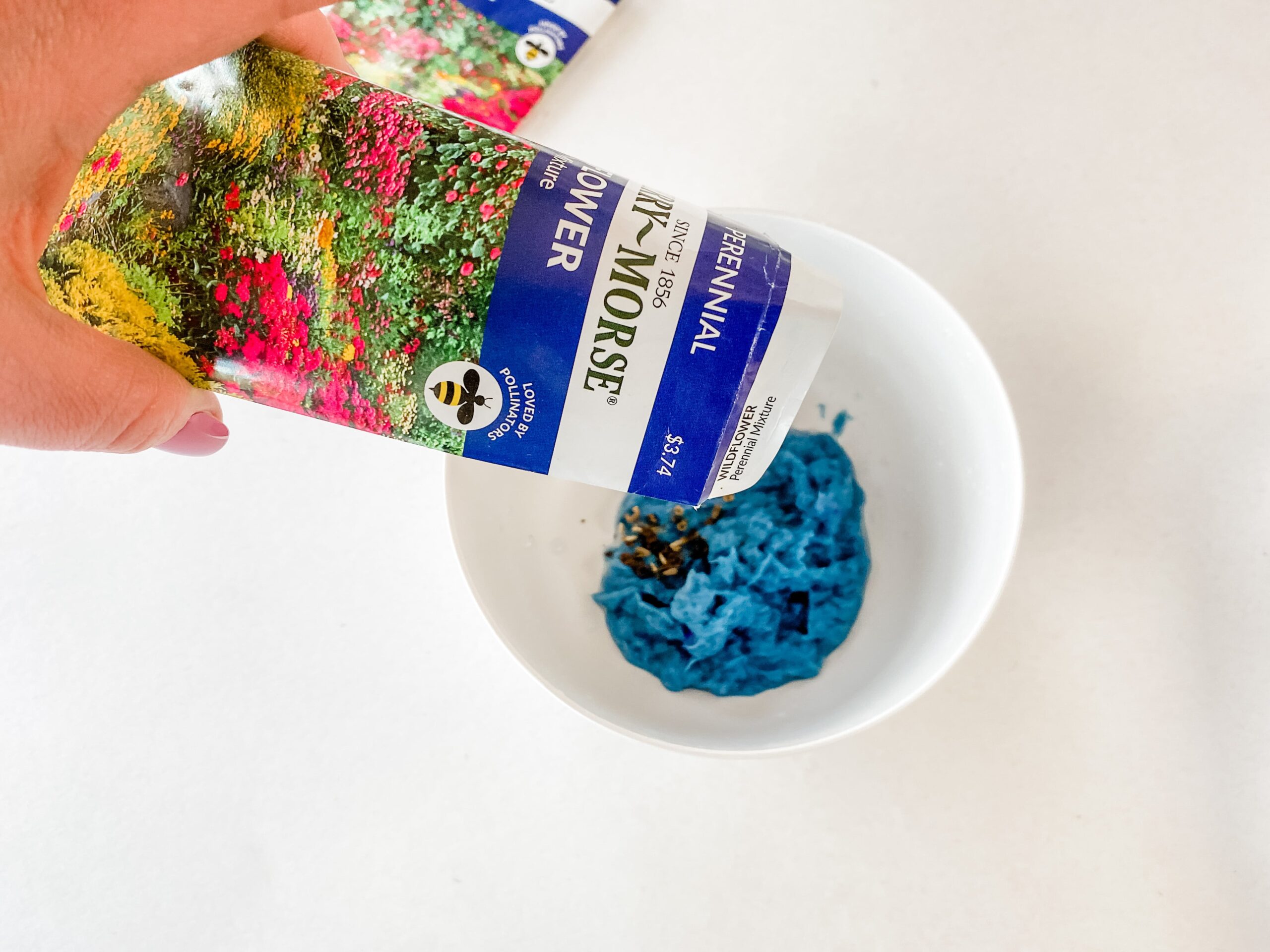 wildflower seed mix 
