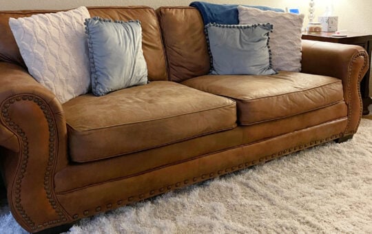 brown couch
