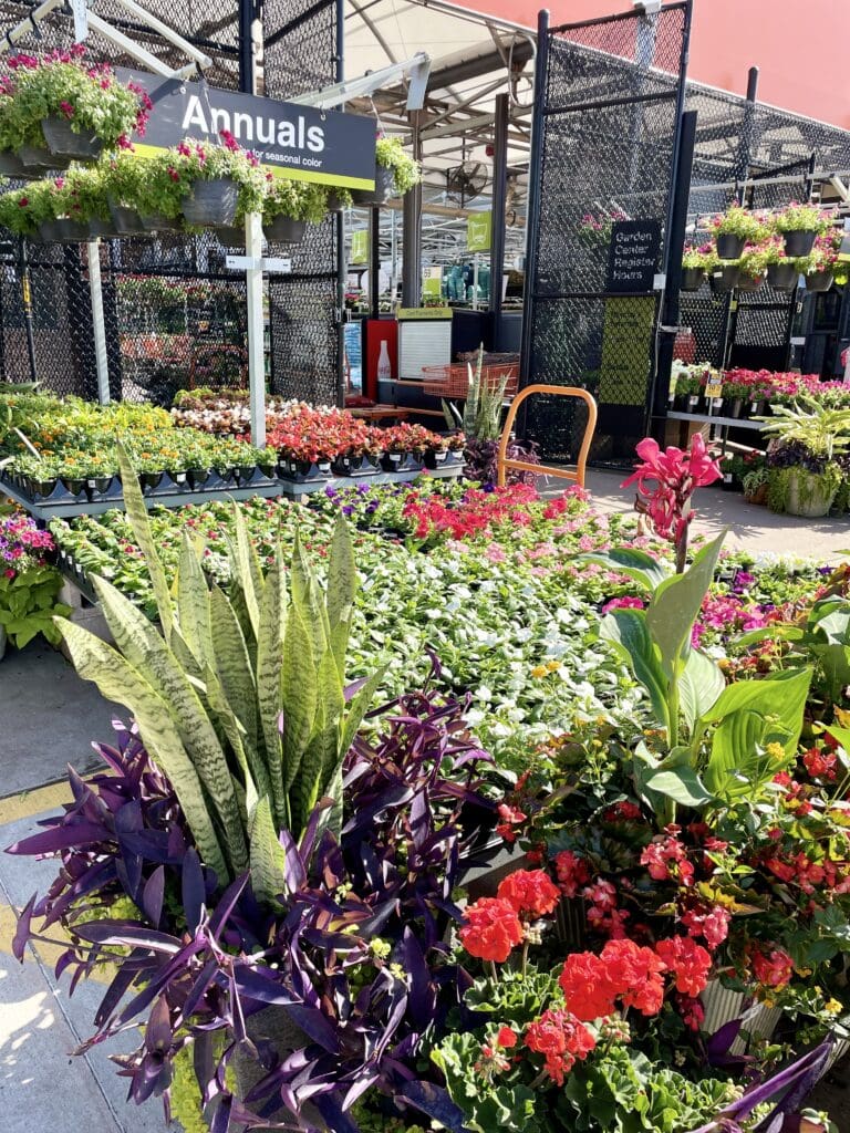 home depot