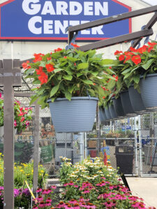 lowes hanging baskets