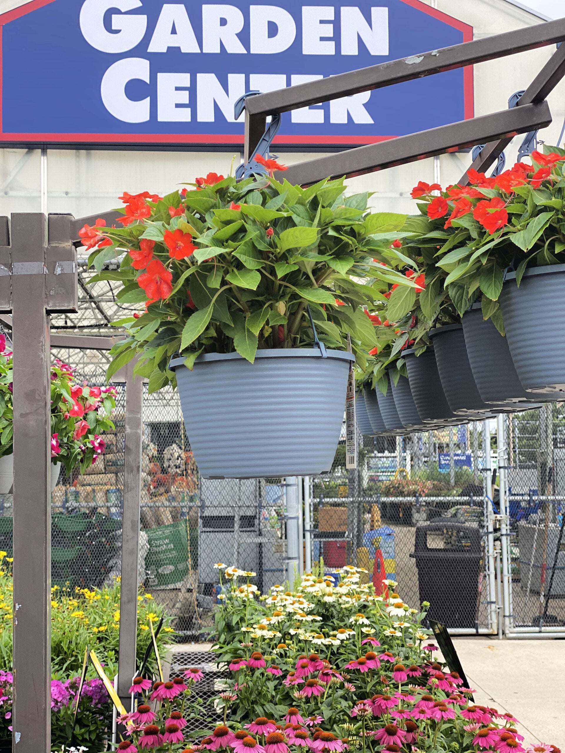 lowes hanging baskets