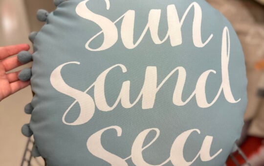 ways to save hobby lobby