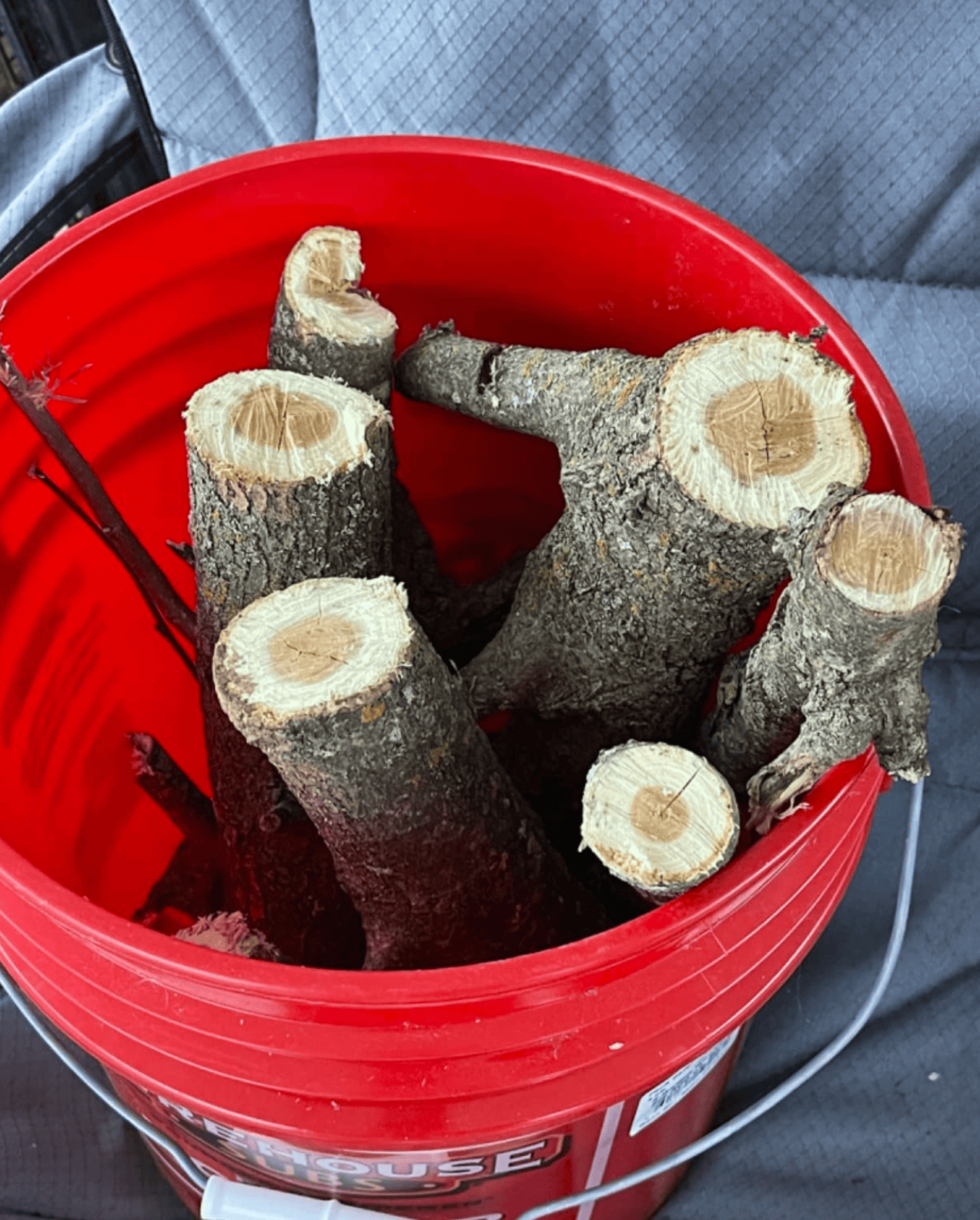 chopped wood in bucket