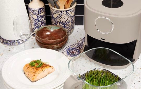 cook with color air fryer