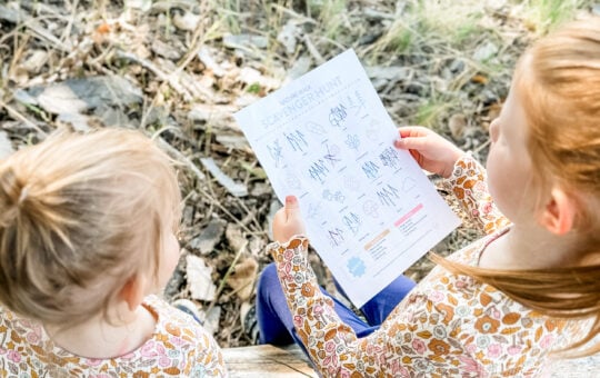 Nature Scavenger Hunt for Kids