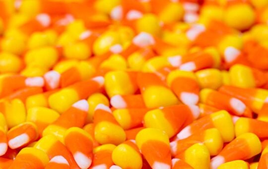 candy corn