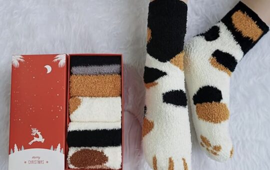 cat feet socks